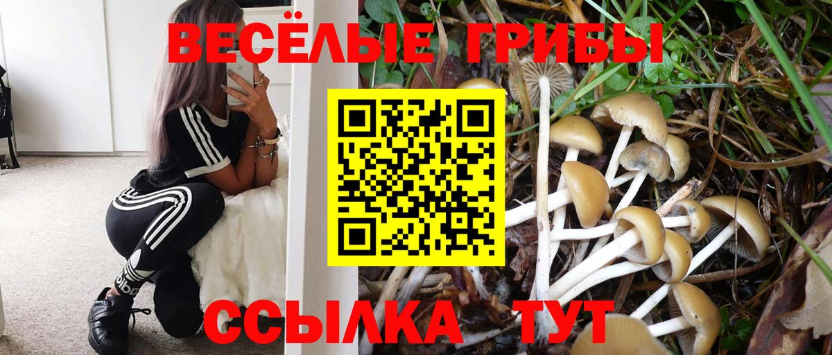 Галлюциногенные грибы мицелий Лениногорск