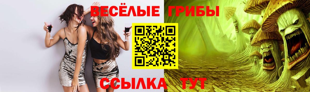 Лениногорск  Галлюциногенные грибы ЛСД  Галлюциногенные грибы Cubensis  где купить наркоту  Вход с VPN 